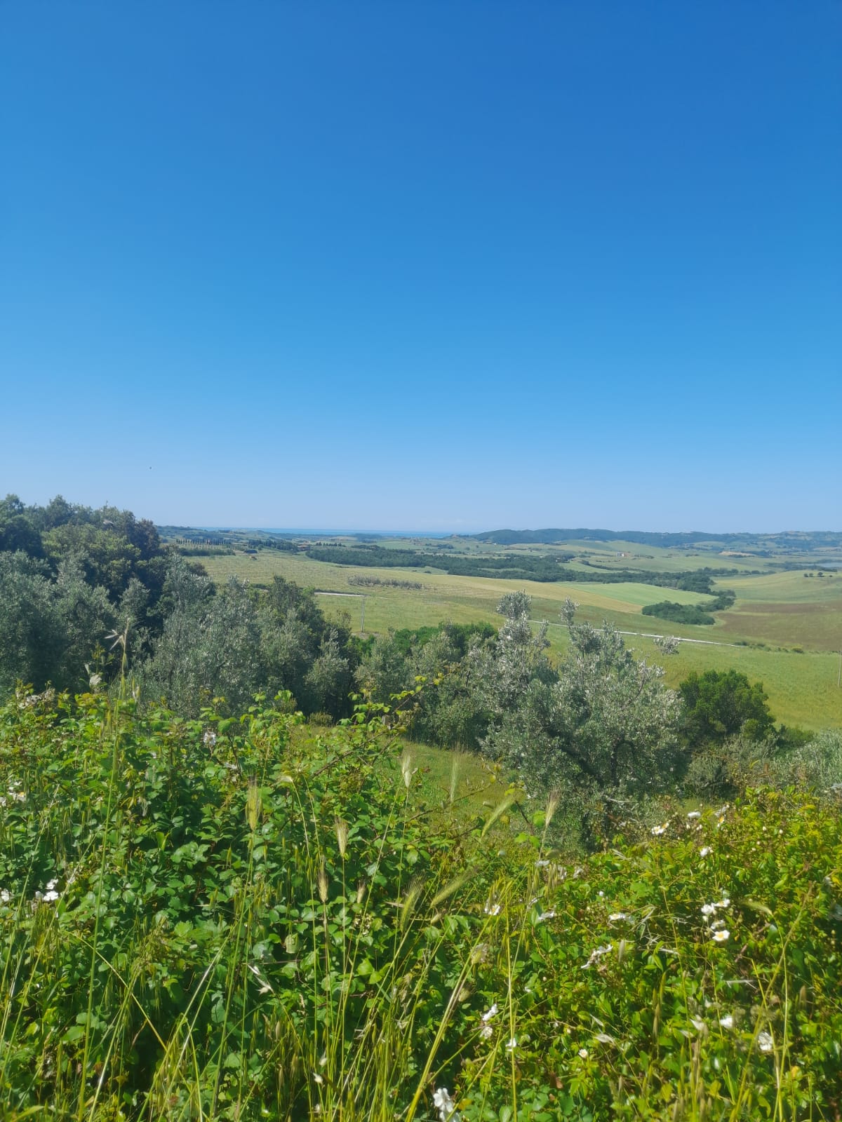 RUBRICA DEDICATA ALLA SCOPERTA DEL TERRITORIO E NON SOLO!